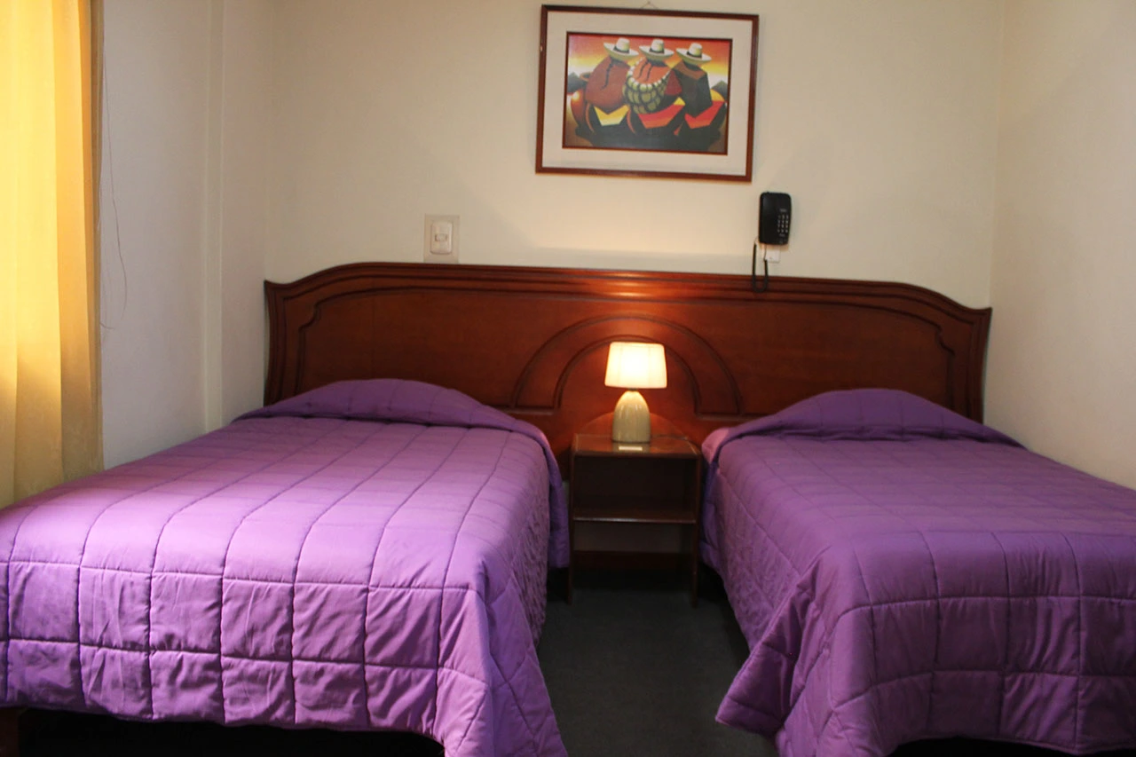 Habitación con dos camas individuales con colchas moradas