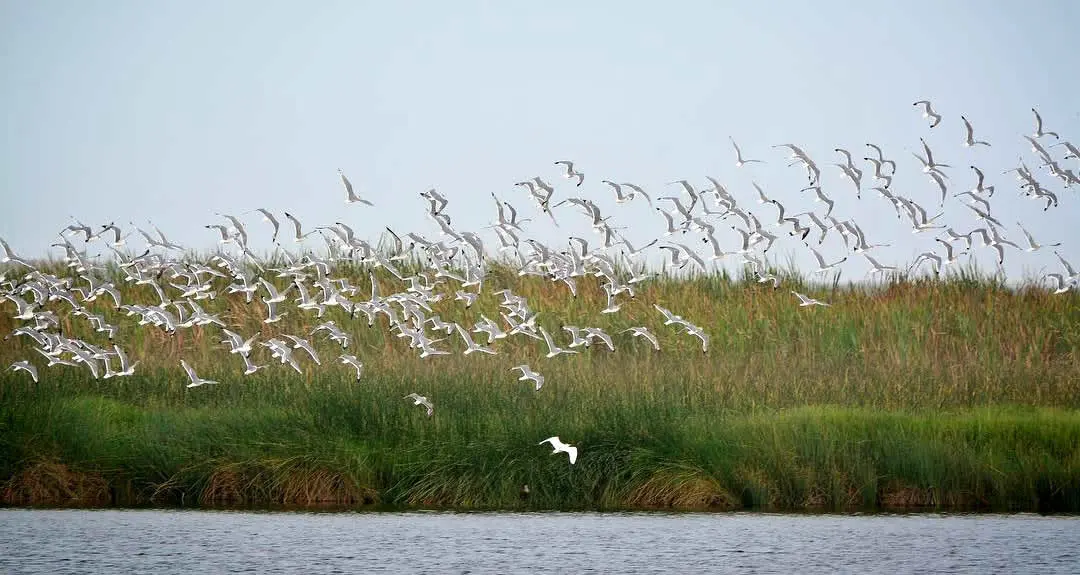 Santuario Nacional Lagunas de Mejía